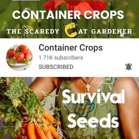 FOLLOW ME ALL OVER THE PLACE & I’ll FOLLOW U BACK - Picture 4 of 4